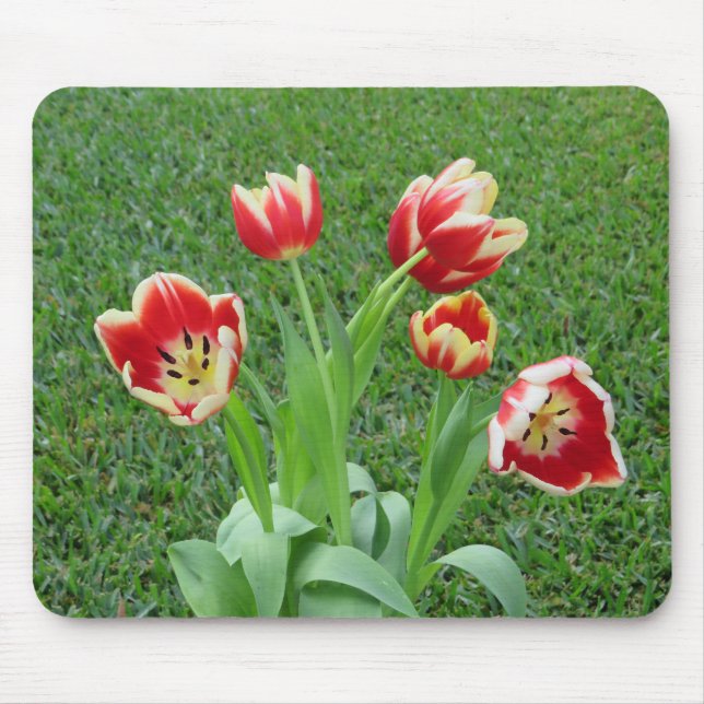 Tulip-Mauspad Mousepad (Vorne)