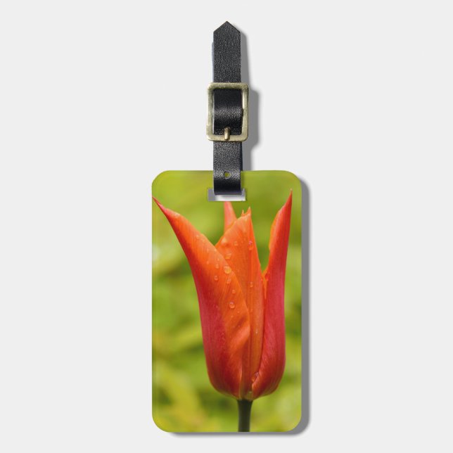 Tulip mit Wassertropfen 1 Gepäckanhänger (Vorderseite vertikal)
