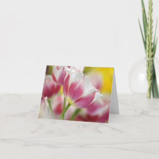 Tulip Mitteilungskarten