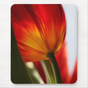 Tulip Mousepad