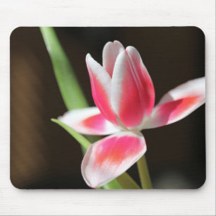 Tulip Mousepad