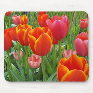 Tulip Mousepad