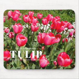 Tulip Mousepad