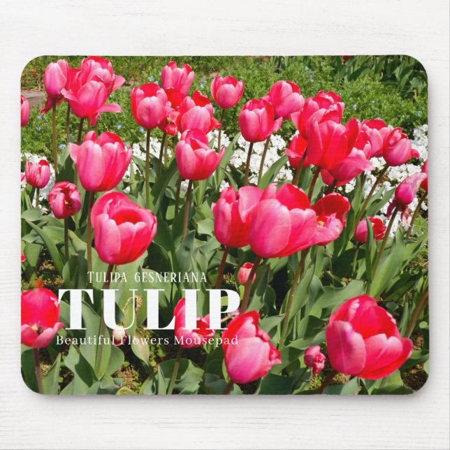 Tulip Mousepad (Vorne)