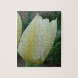Tulip nach dem Regen