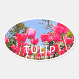 Tulip Ovaler Aufkleber