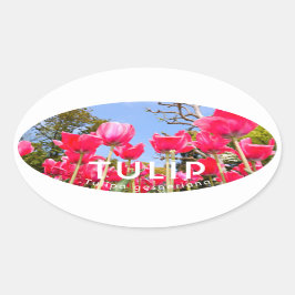 Tulip Ovaler Aufkleber