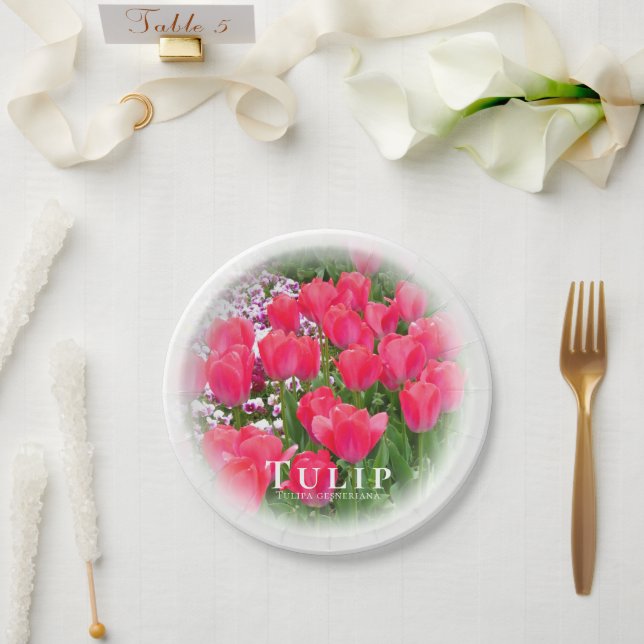 Tulip Pappteller (Hochzeit)