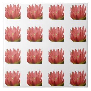 Tulip Pattern Fliese