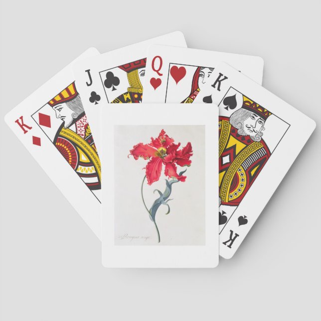 Tulip: Perroquet Rouge Spielkarten (Rückseite)