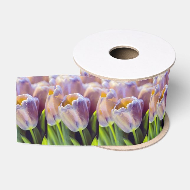 Tulip Portrait Restyle Ripsband (Spule)