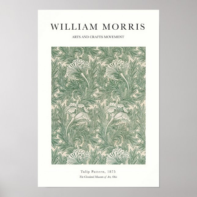 Tulip Poster (Vorne)