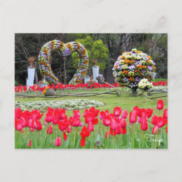 Tulip [Postkarte] Postkarte