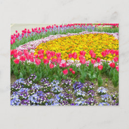 Tulip [Postkarte] Postkarte