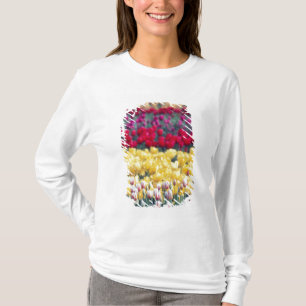 Tulip-Schau-Garten im Skagit-Tal, T-Shirt