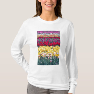 Tulip-Schau-Garten im Skagit-Tal, T-Shirt