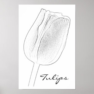 Tulip Sketch Poster
