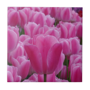Tulip Small (4,25" x 4,25") Keramik Foto Tile Fliese