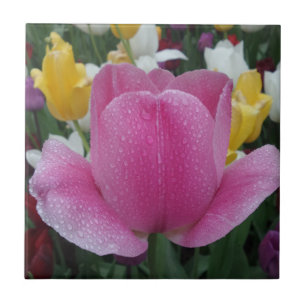 Tulip Small (4,25" x 4,25") Keramik Foto Tile Fliese