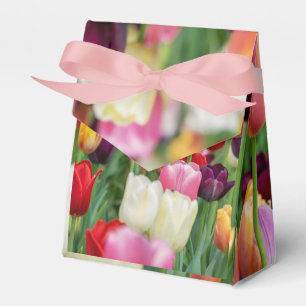Tulip Spring Flowers Garden Floral Yellow Pink Red Geschenkschachtel