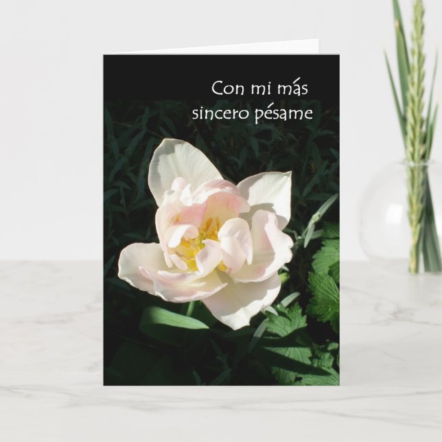 'Tulip' Sympathy Card - Spanischer Gruß Karte (Vorderseite)