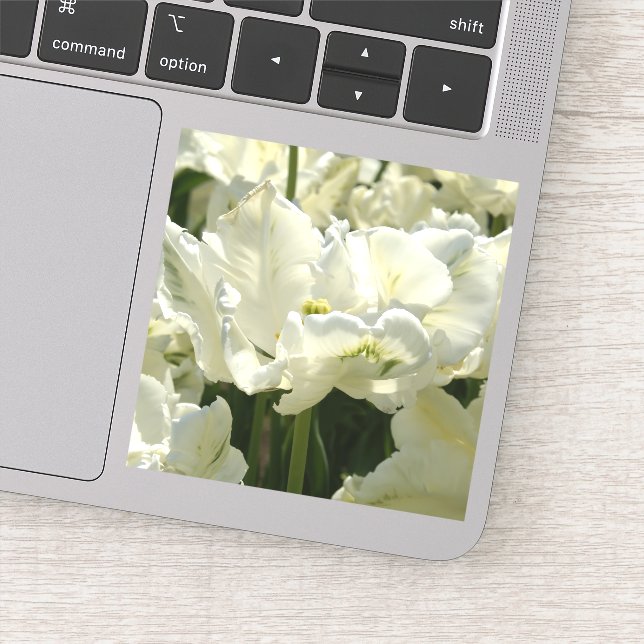 Tulip the white aufkleber (Detail)