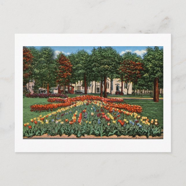 Tulip Time Holland, Michigan Postkarte (Vorderseite)