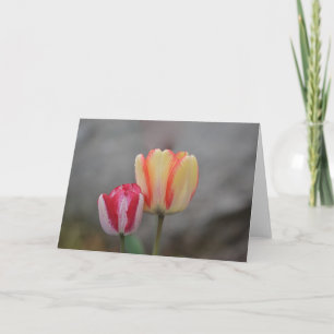 Tulip Time Note Card Karte