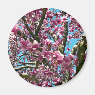 Tulip Tree Magnet