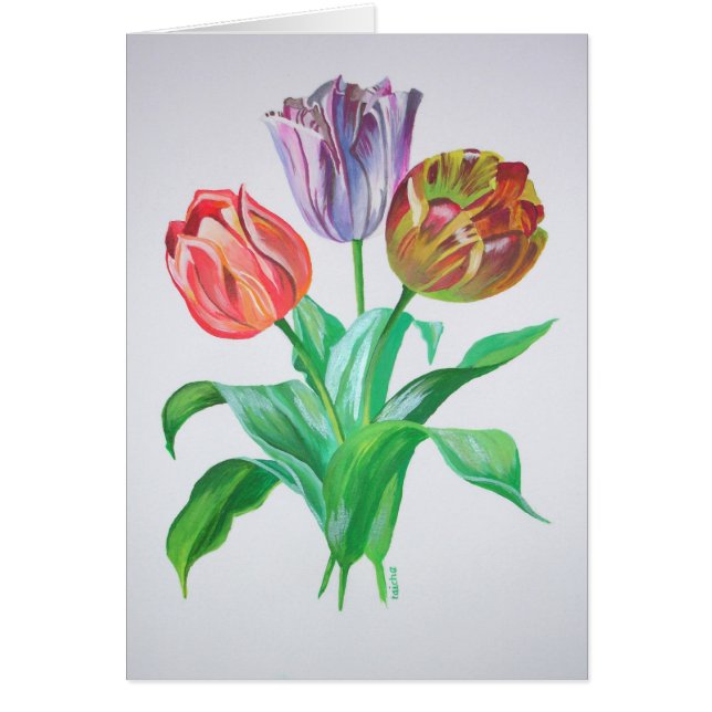 Tulip Trio Blume (Vorne)