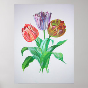 Tulip Trio Blume Poster
