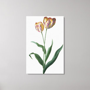 Tulip Tulip Leinwanddruck
