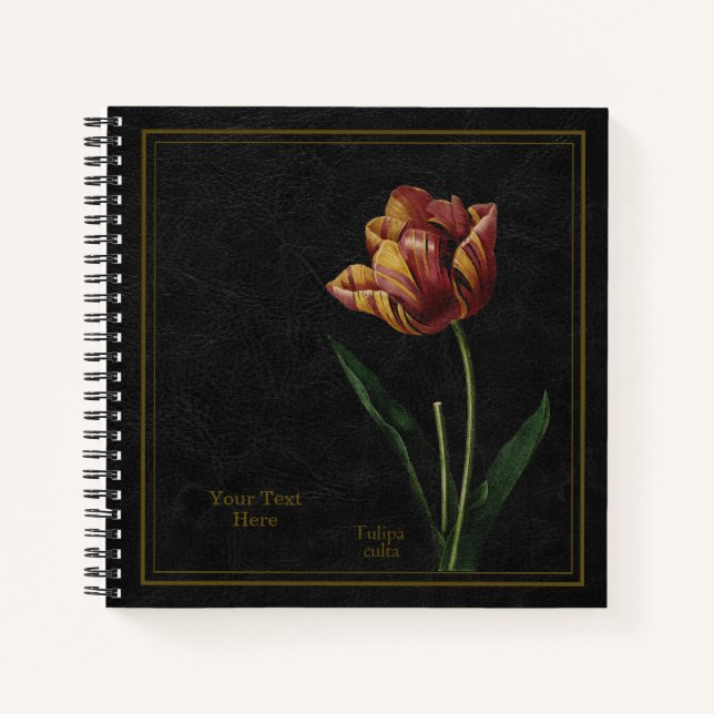 Tulip (Tulipa culta) Black Notebook Notizbuch (Vorderseite)
