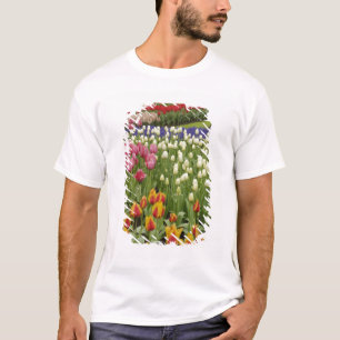 Tulip und Hyazinth Garten, Keukenhof Gardens, T-Shirt