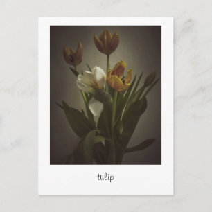 "tulip" von Heidi Rondak Fotografy Postkarte