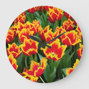 Tulipa Fabio, Keukenhof, Niederlande Große Wanduhr