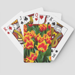Tulipa Fabio, Keukenhof, Niederlande Spielkarten