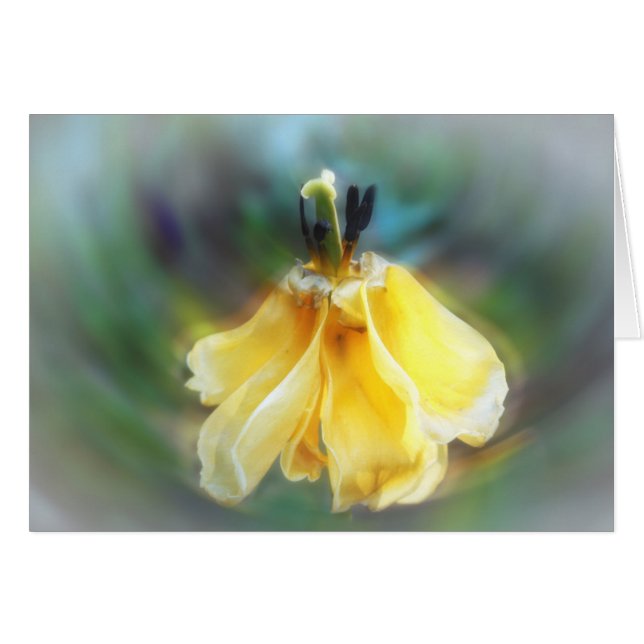 Tulipe de danse (Devant horizontal)