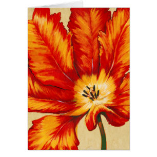 Tulipe de perroquet II