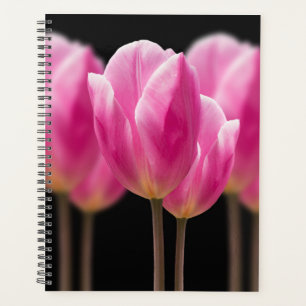 Tulipe élégante et fleurs florales Roses Photograp