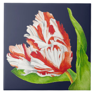 Tulipe Estella Rijnveld sur un carreau de