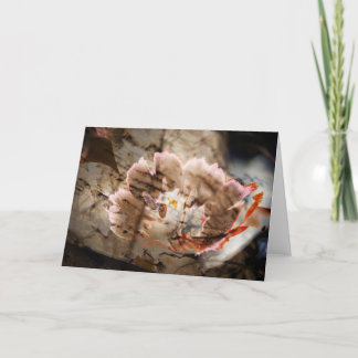 Tulipe et collage en bois - Carte