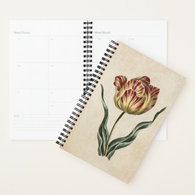 Tulipe florale vintage (Devant avec enveloppe)