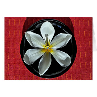 Tulipe flottante