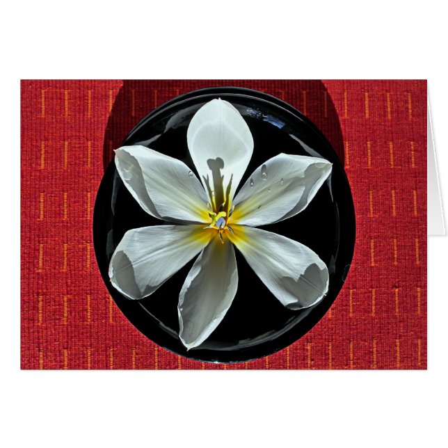 Tulipe flottante (Devant horizontal)