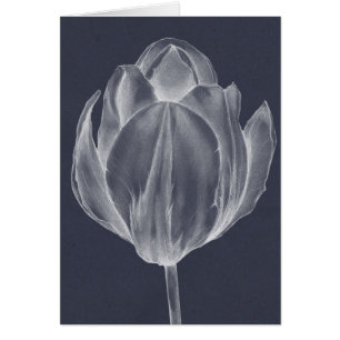 Tulipe monochrome I