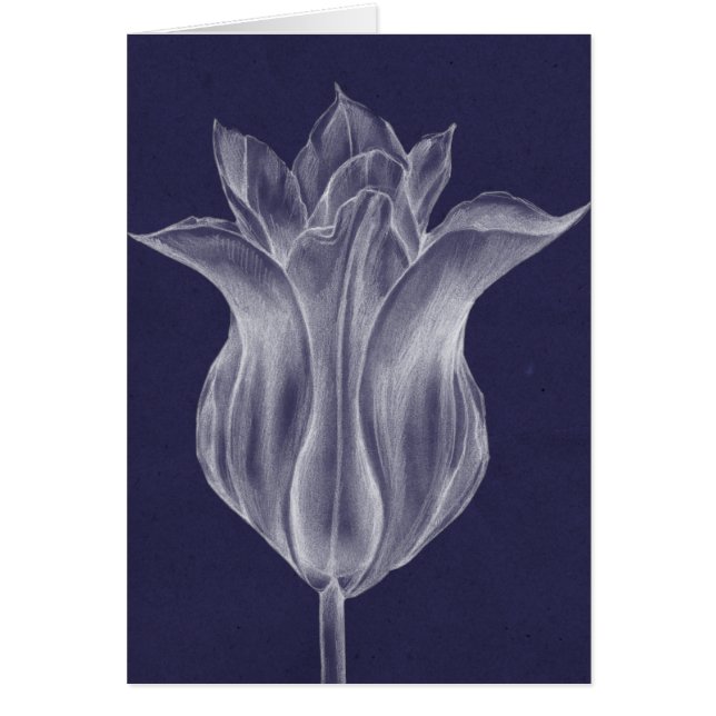 Tulipe monochrome III (Devant)