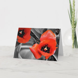 Tulipe rouge, carte