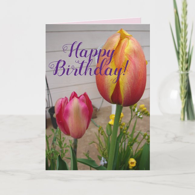 Tulipe Tulipe Fleur rose rouge Carte d'anniversair (Devant)