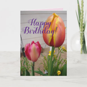 Tulipe Tulipe Fleur rose rouge Carte d'anniversair